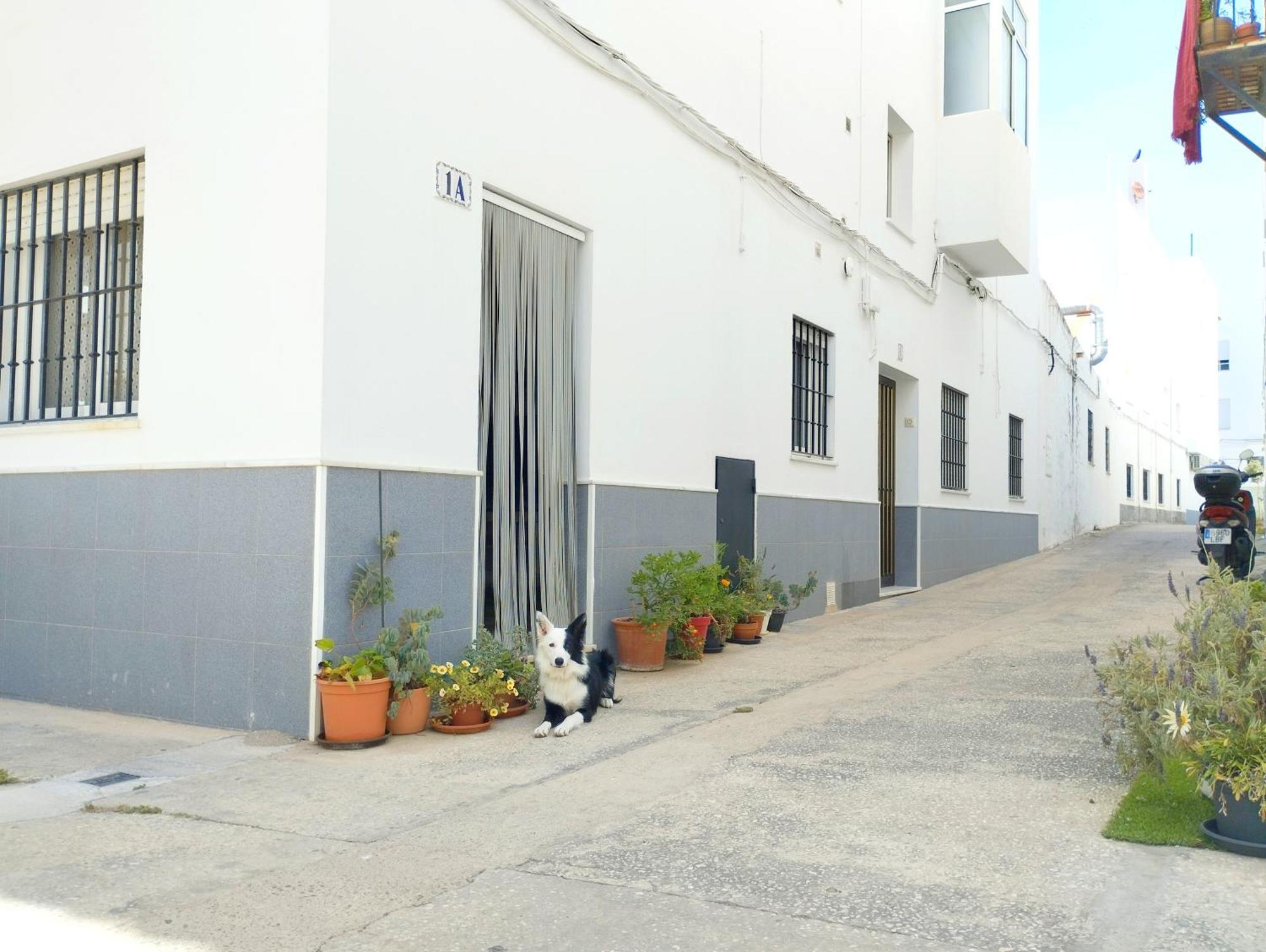 Anita Conil Apartamento Conil De La Frontera