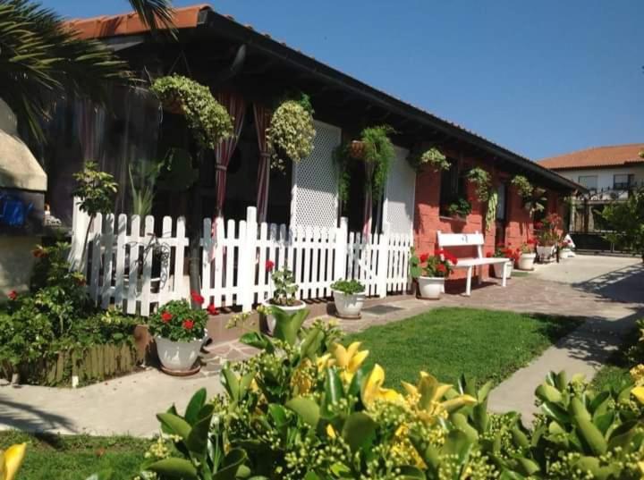Casa Mari Carmen
