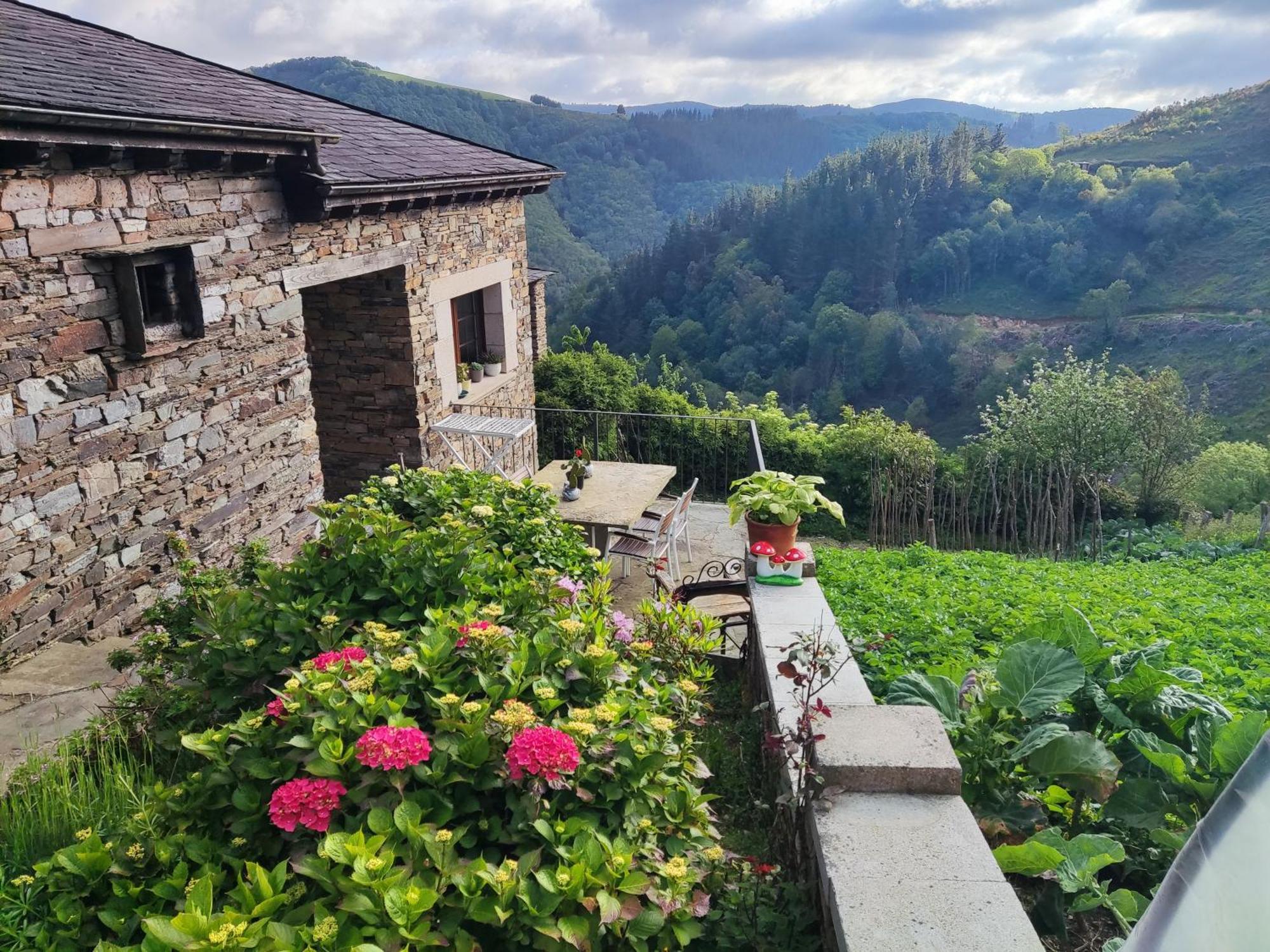 Chalet Casa El Teixo