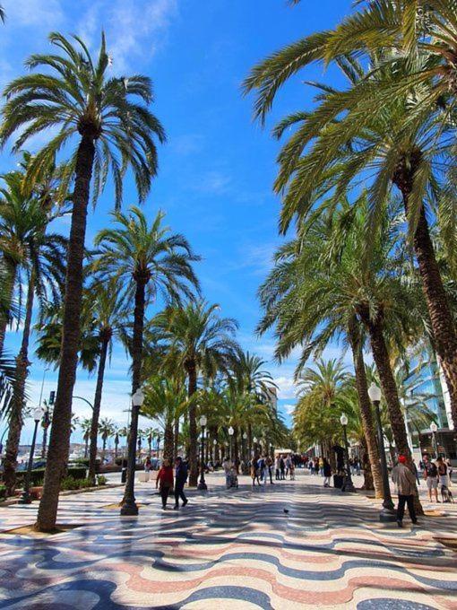 Apartamento Comodo Apartamento Greenroom Alicante