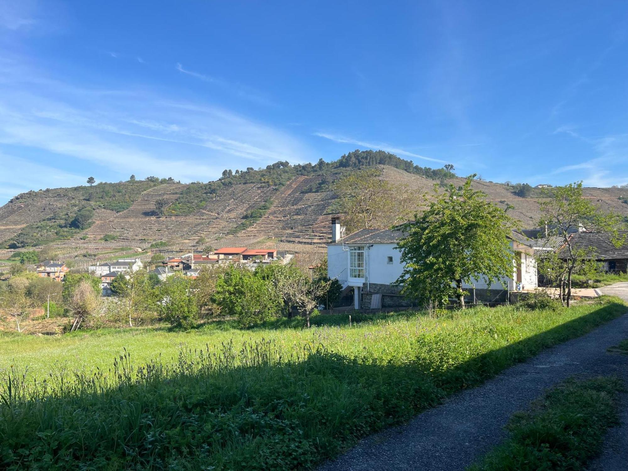 Casa Catalina - Ribeira Sacra