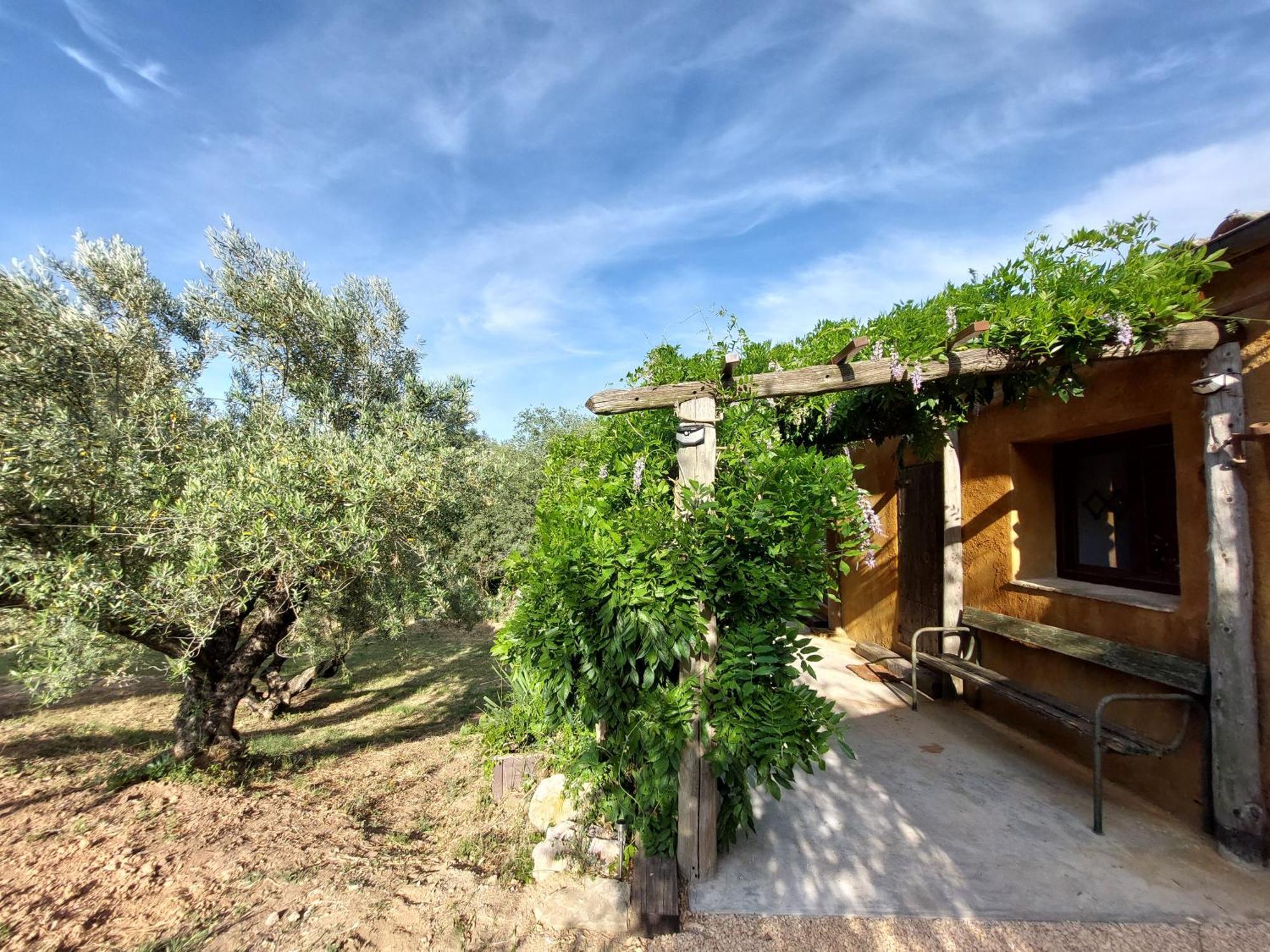 Apartamento Ca L'estadant *