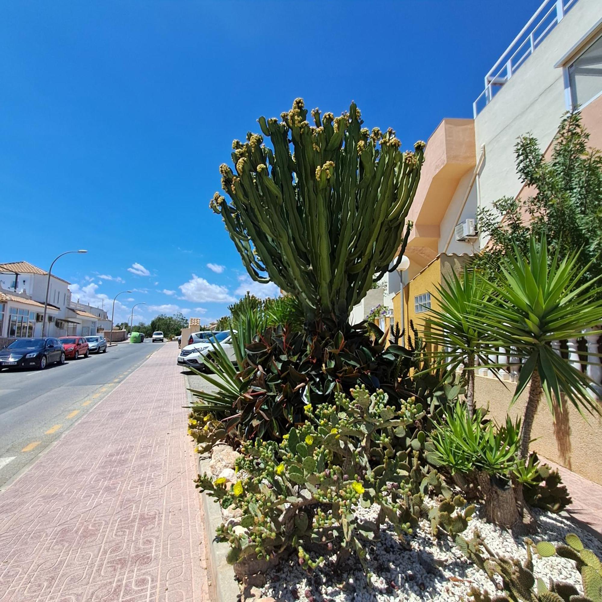 Casa Rosalia Apartamento