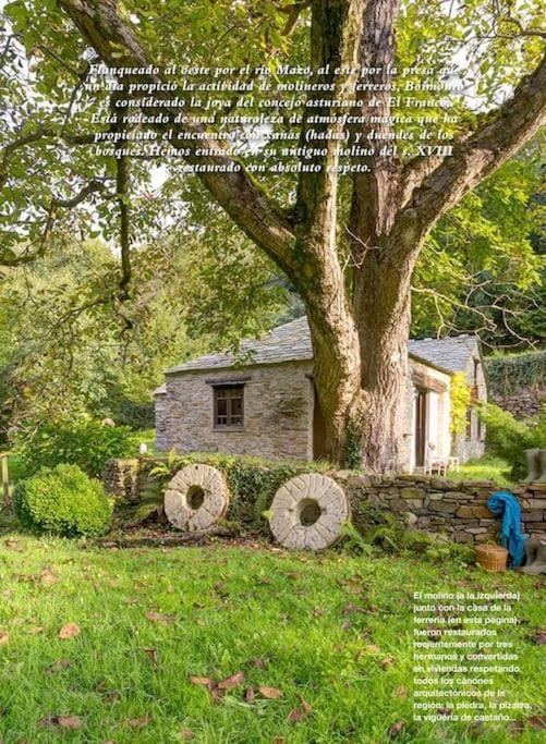 Stunning Restored Mill Boimouro Holiday home