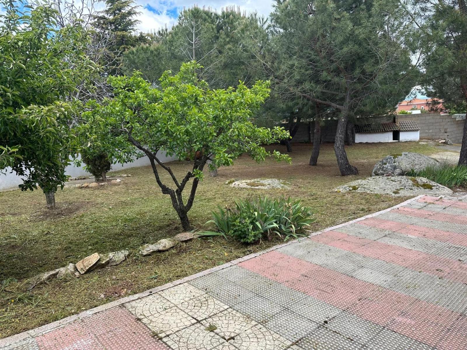 Сasa de vacaciones La Picotilla Y La Guija