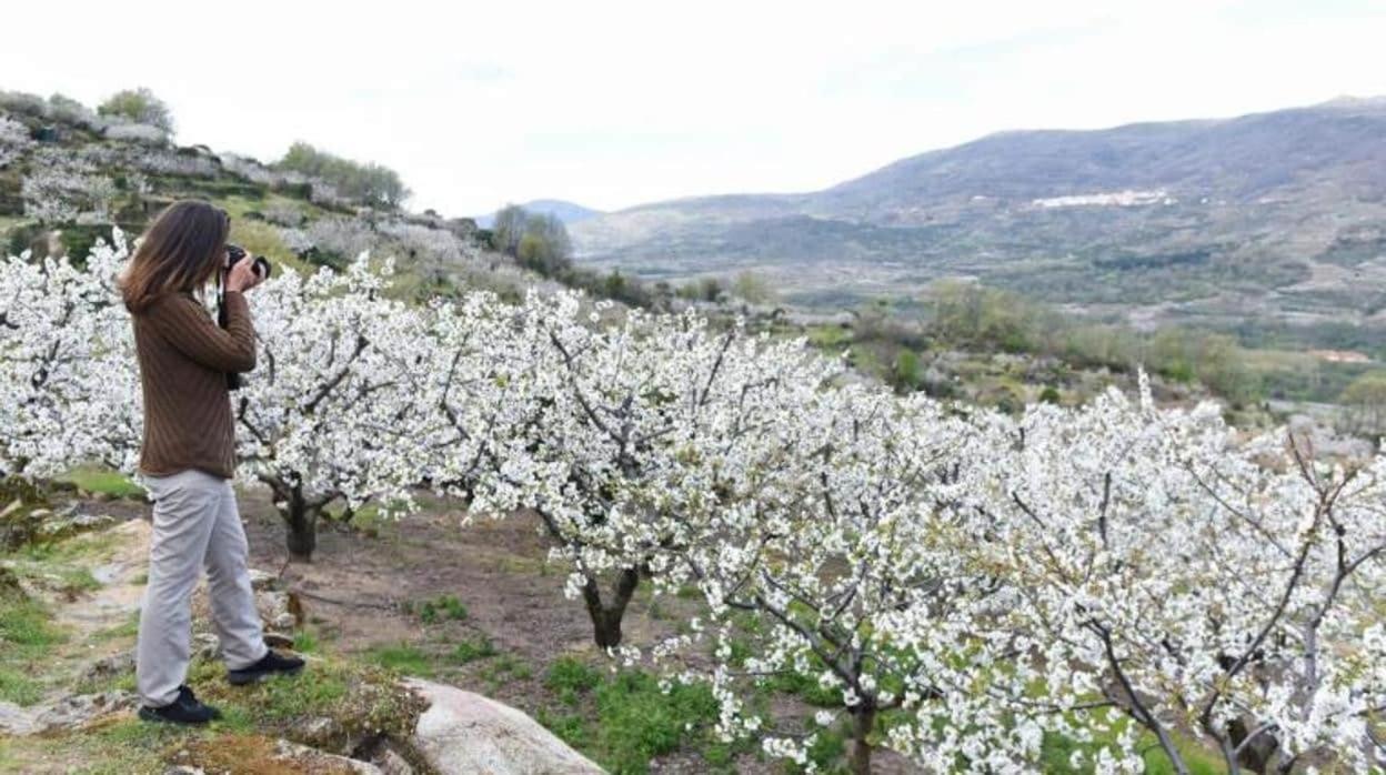 El Rincon De Markesa