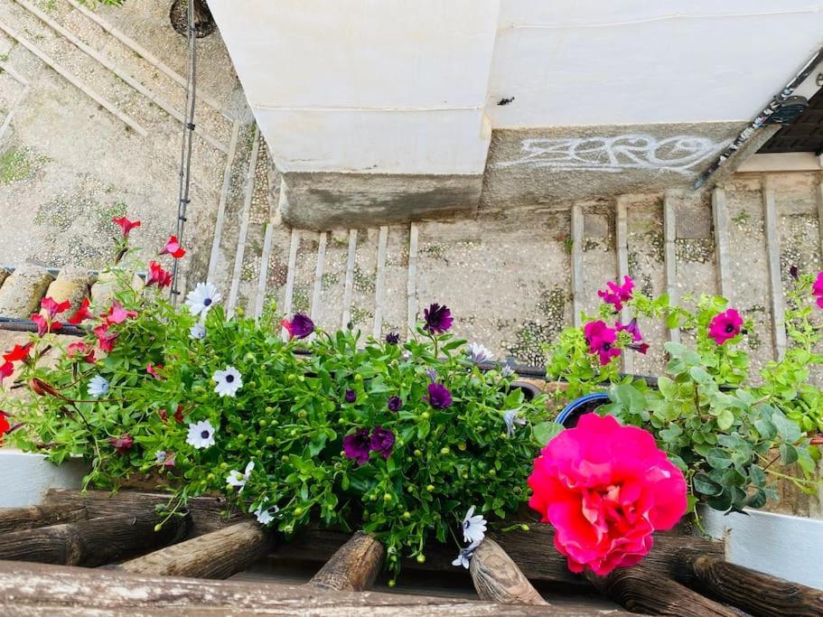 Peace House In Center Of Albaicin Unesco Heritage Apartamento *