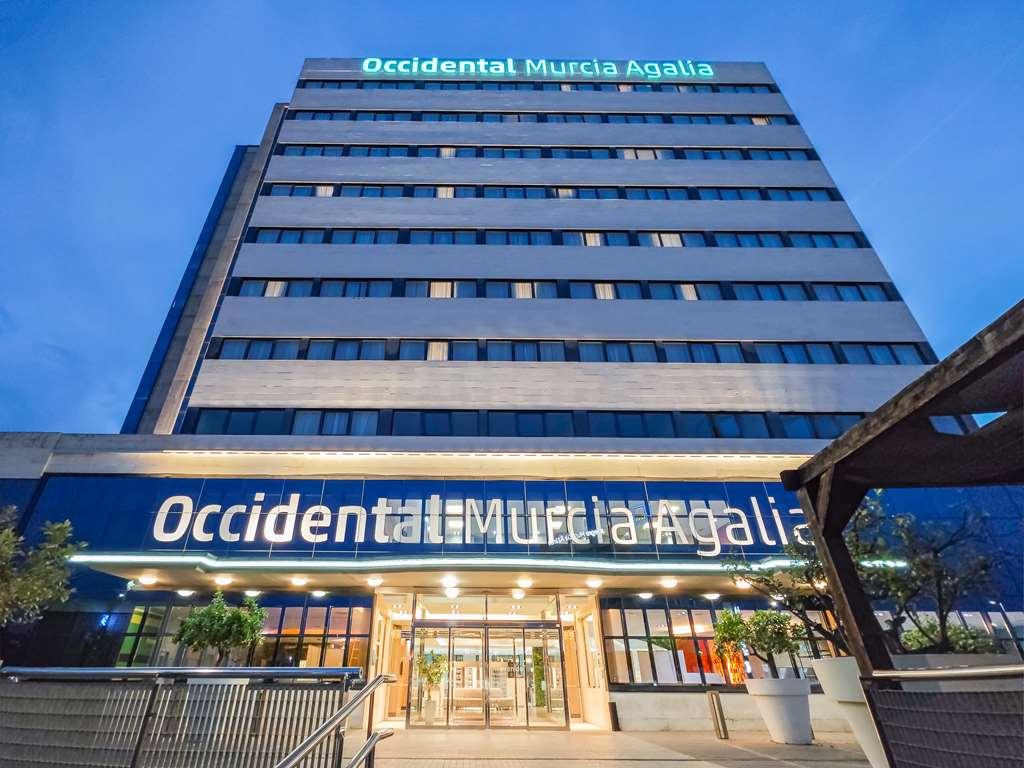 Hotel Occidental Agalia 4*