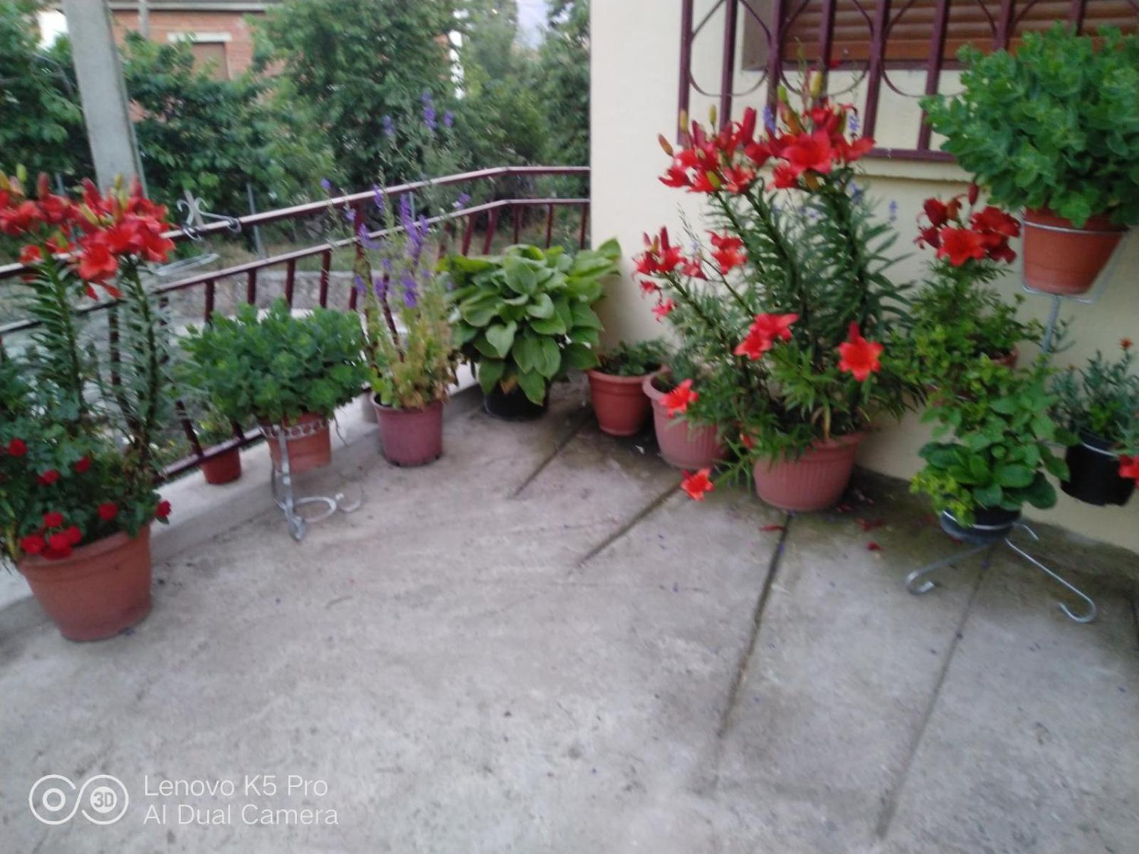 Country house La Cucurrumacha *