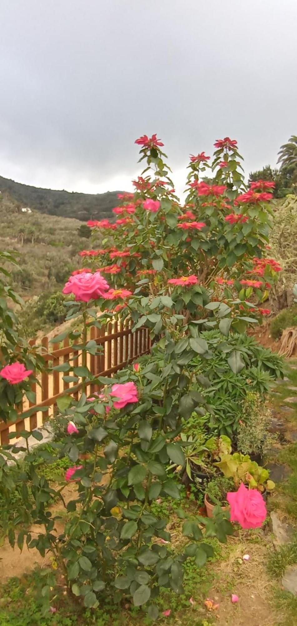 Holiday home Casa Maria *