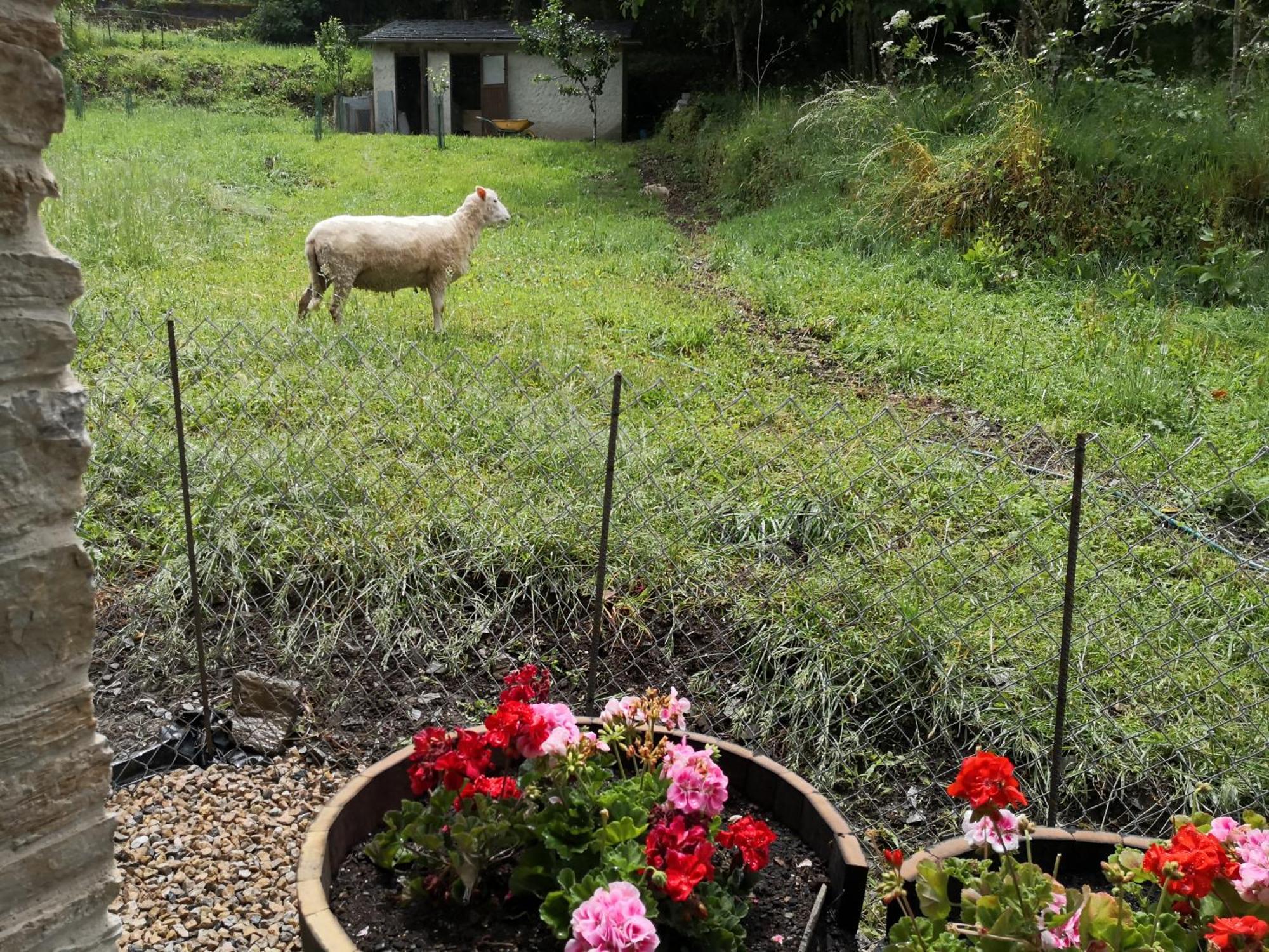 La Pandela Las Herrerías