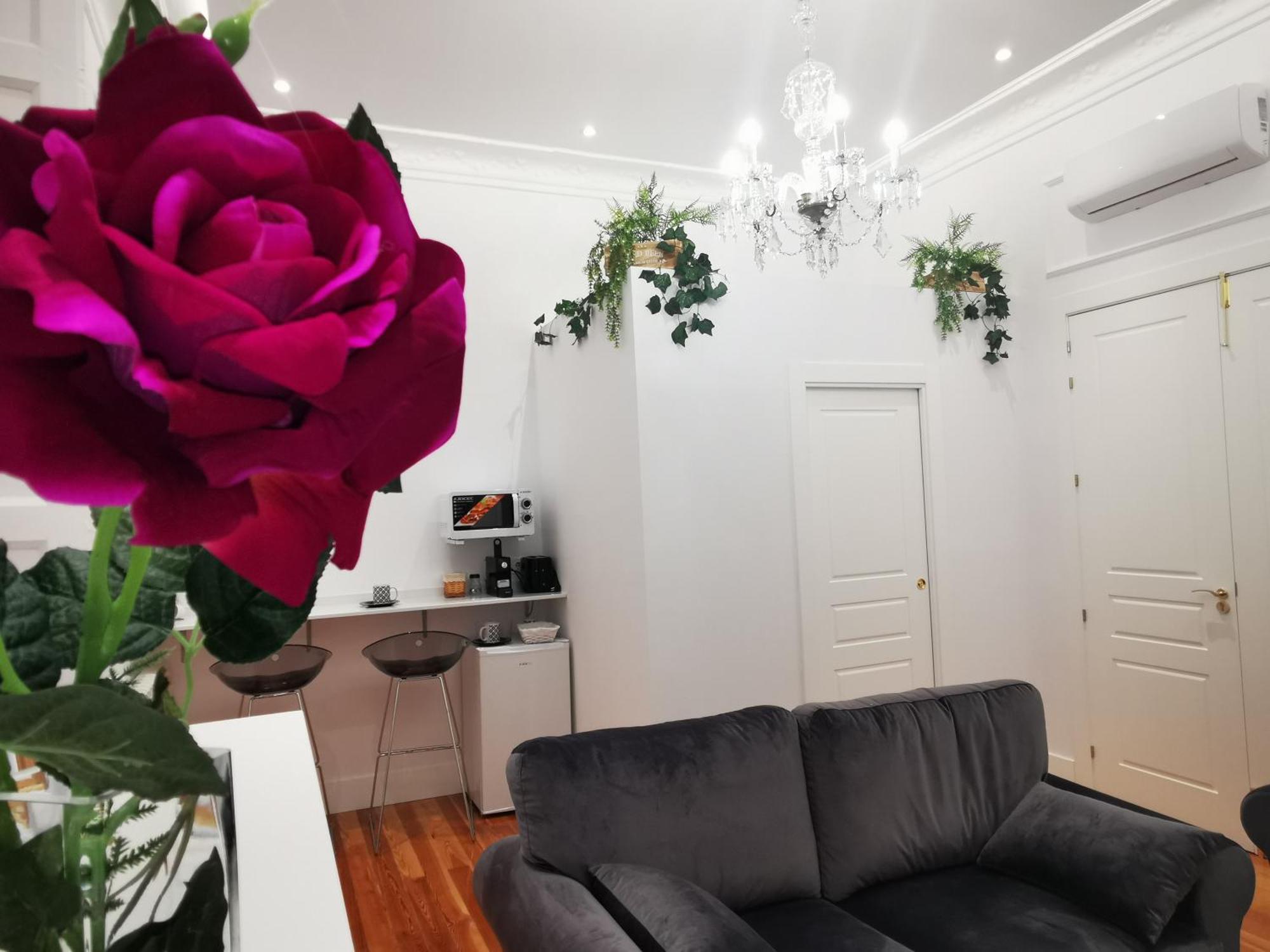 Apartamento Rua Boutique Salamanca