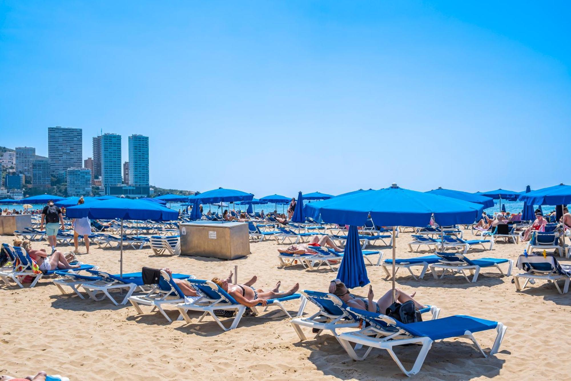 Apartamento Caballos 12-c Benidorm
