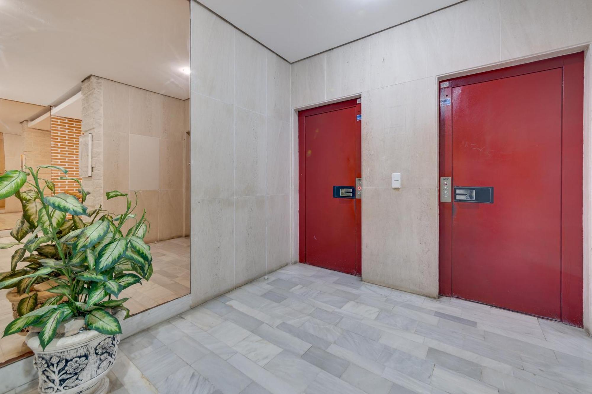 Apartamento Concordia Torrevieja