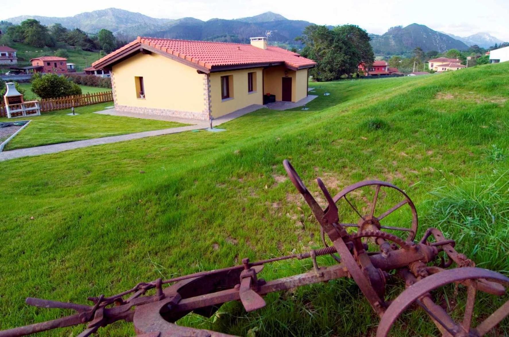 Ecoviella * Coviella