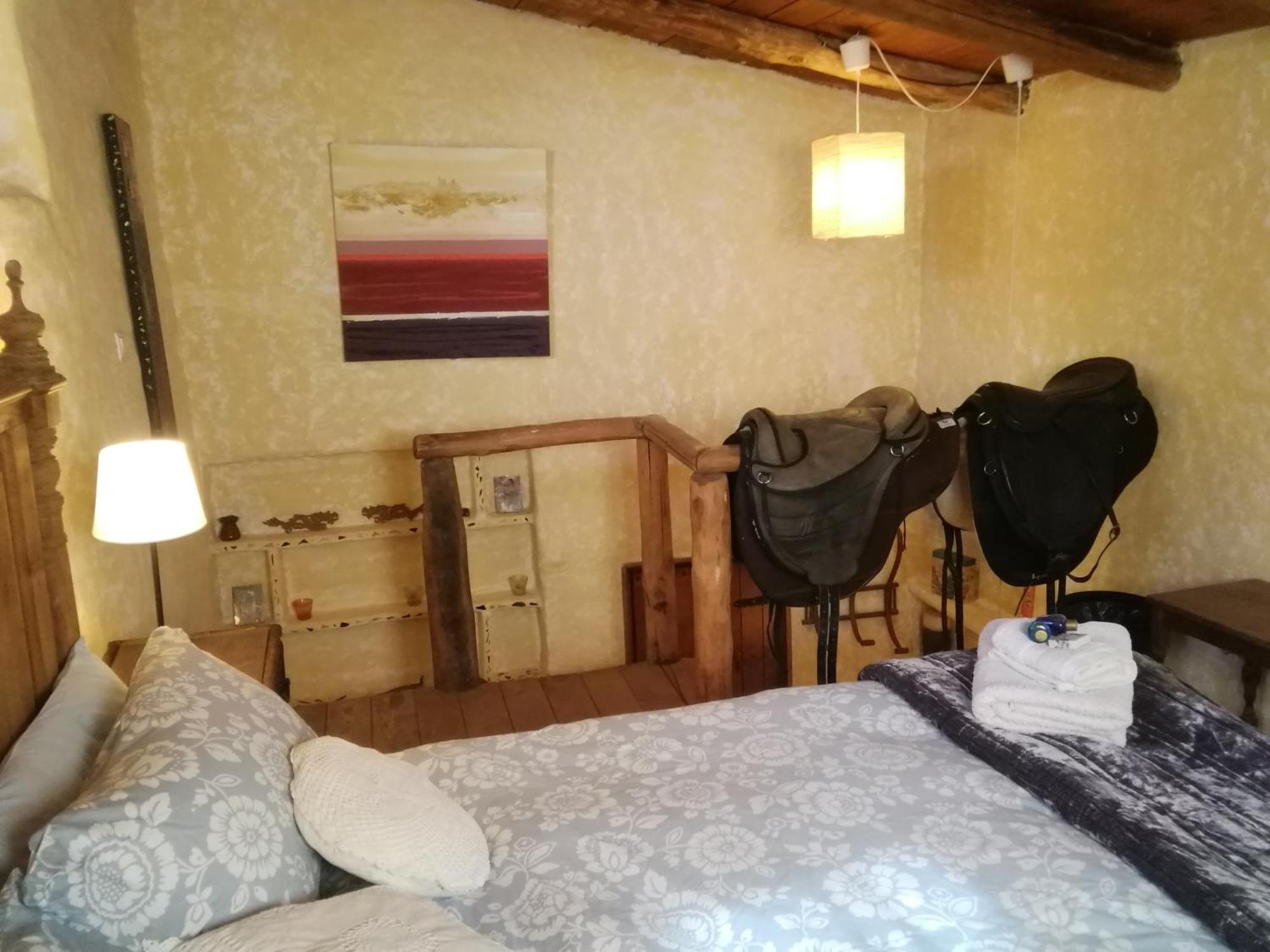 Eco Moyano Lodge *