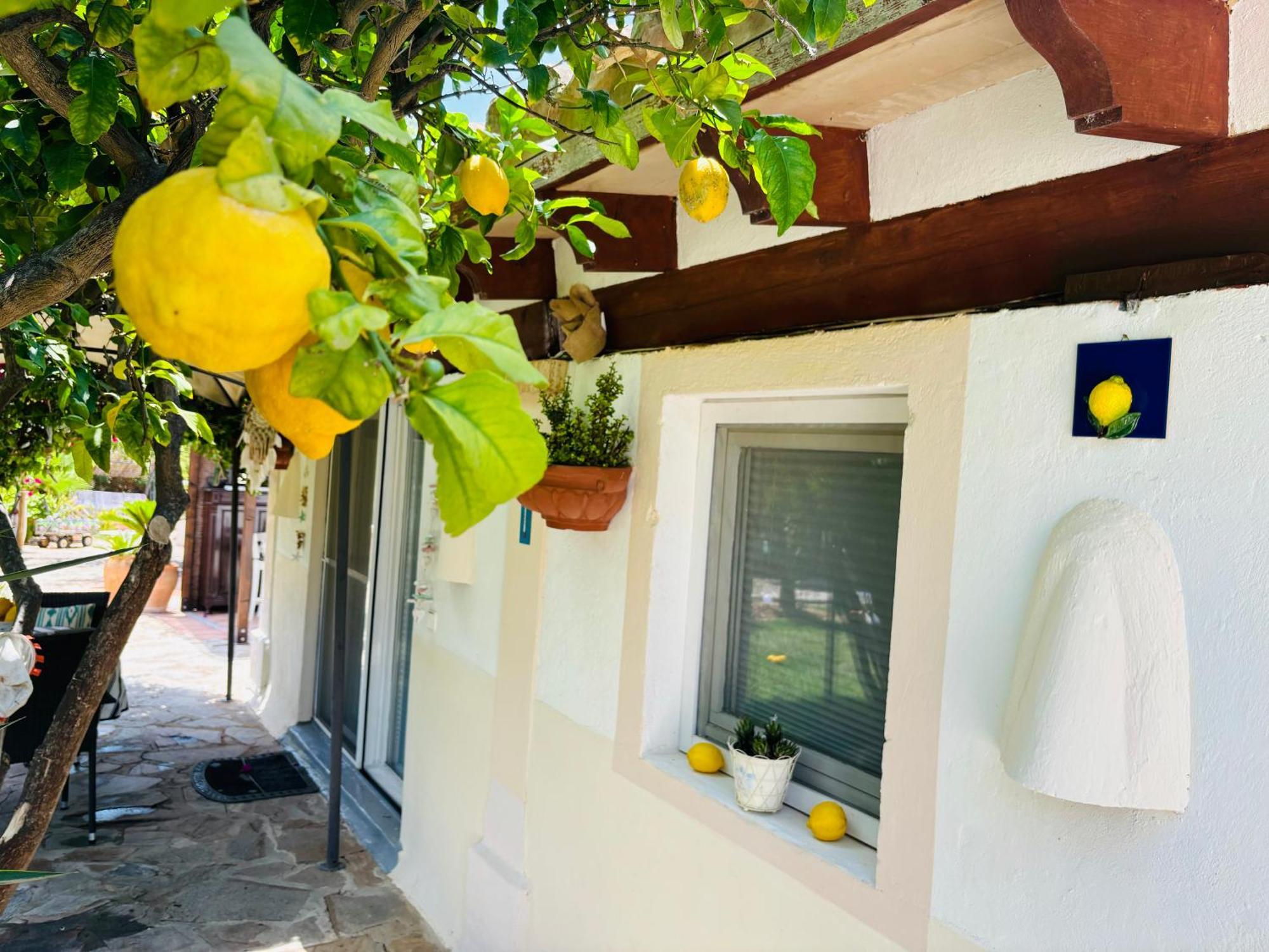Casita Limón Сasa de vacaciones Andratx (Andrach)