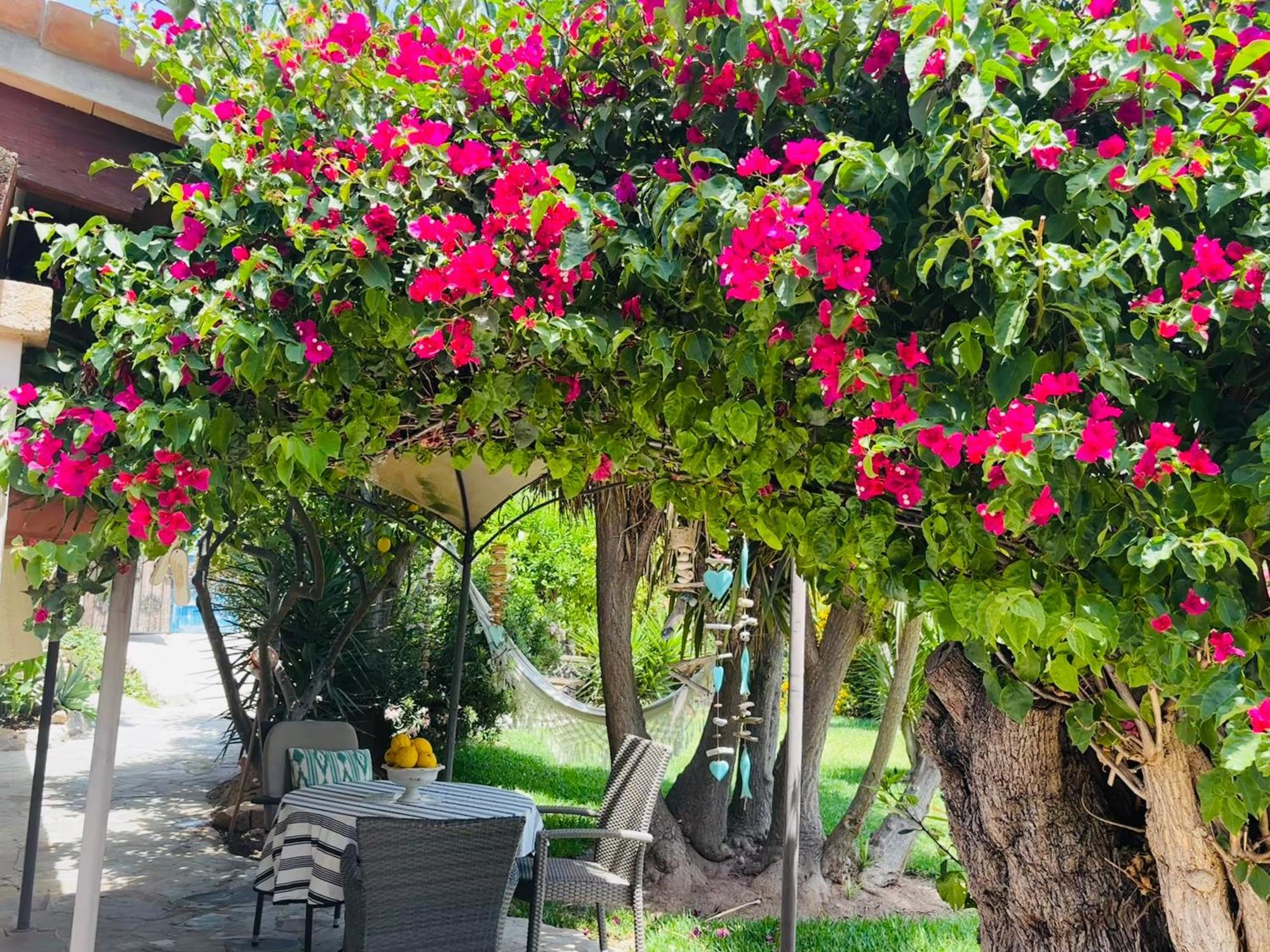 Casita Limón Сasa de vacaciones Andratx (Andrach)