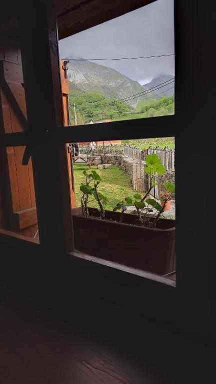 Rurales La Laguna Somiedo Apartamento *