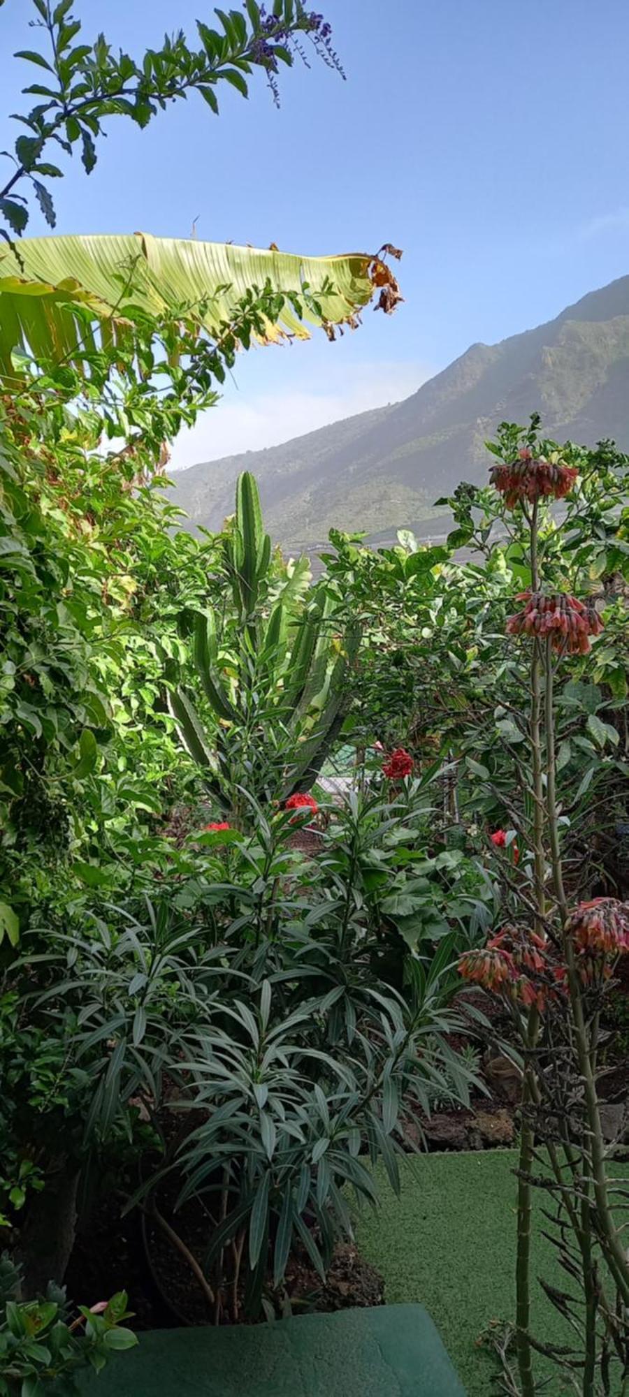 Welcome Apartamento Garachico (Tenerife)