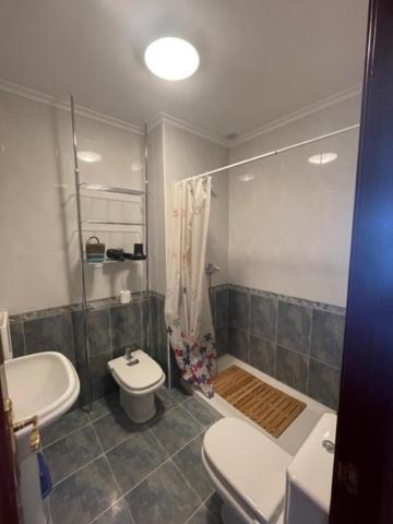 Bonito Apartamento Con Piscina * Ribas (Cantabria)
