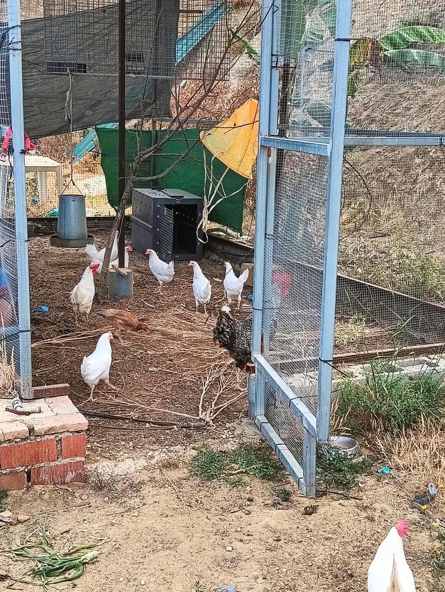 Mis Morenas Villa