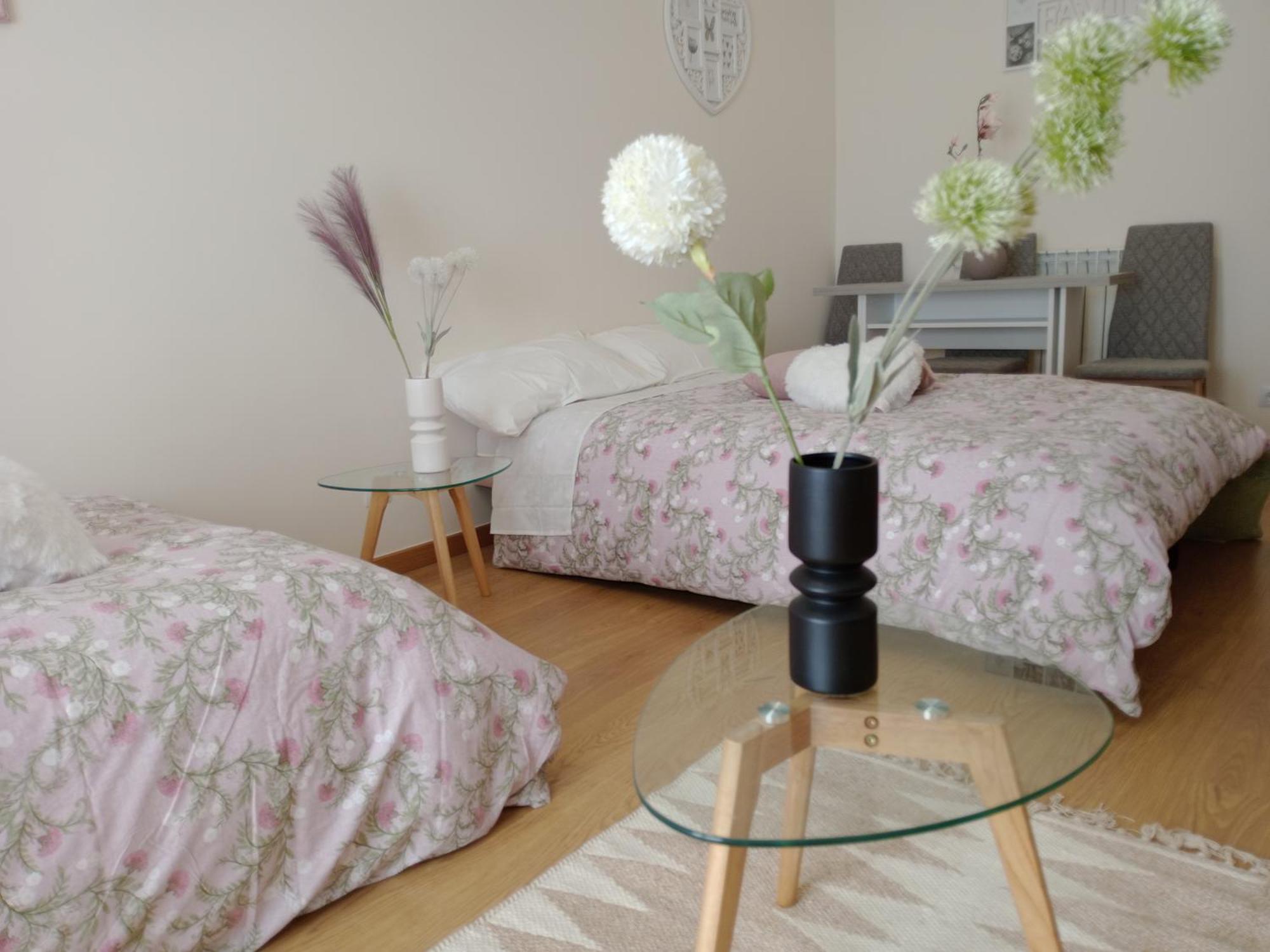 El Olmo Apartamento Lerma