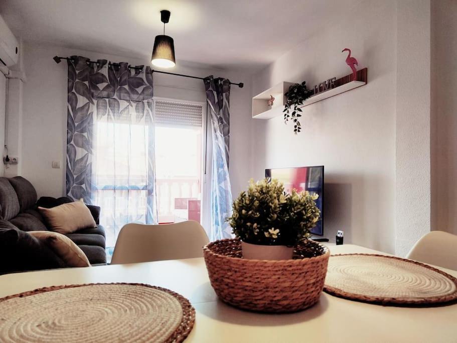 Apartment Palmeras *