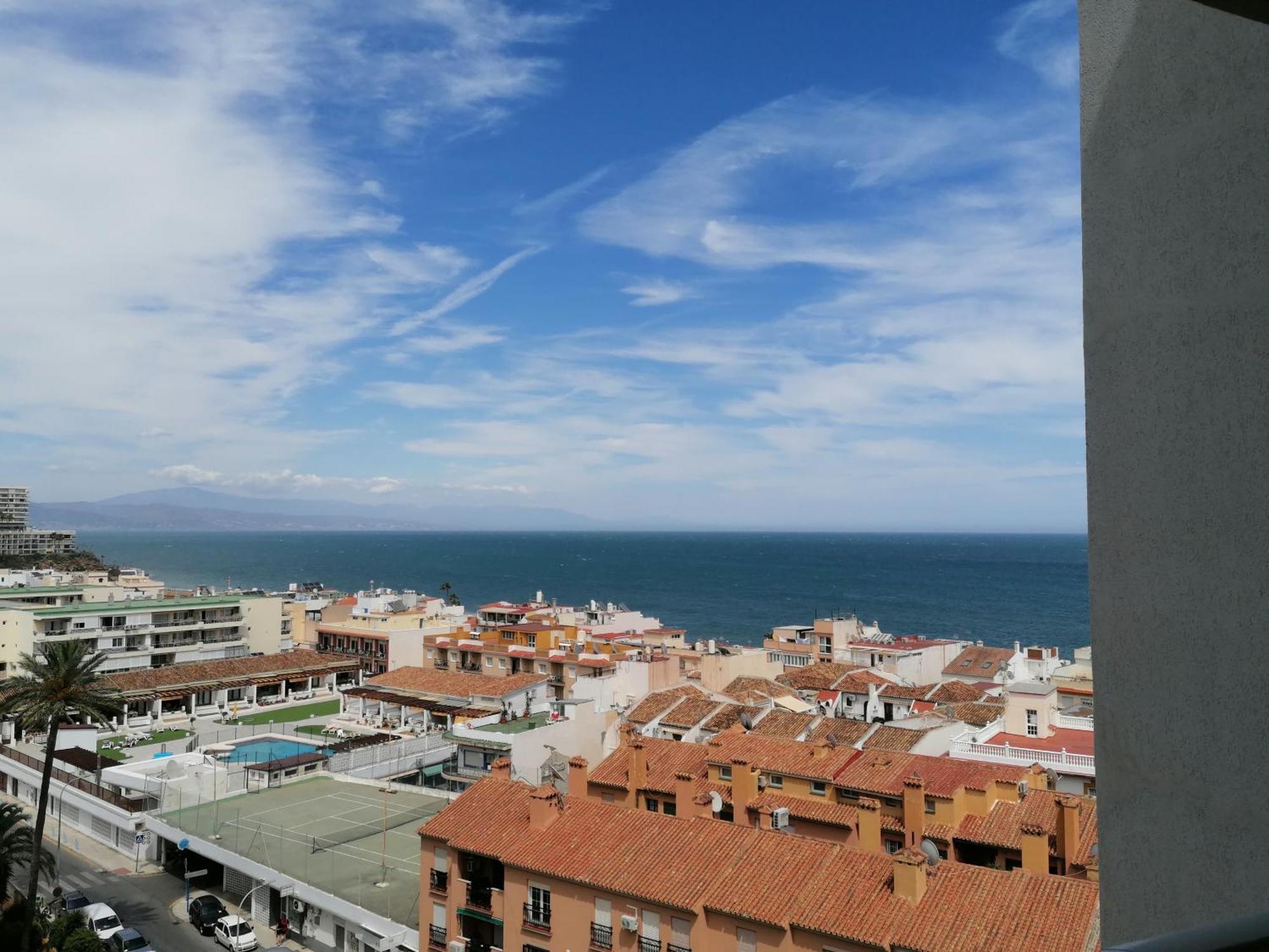 Palm - La Carihuela