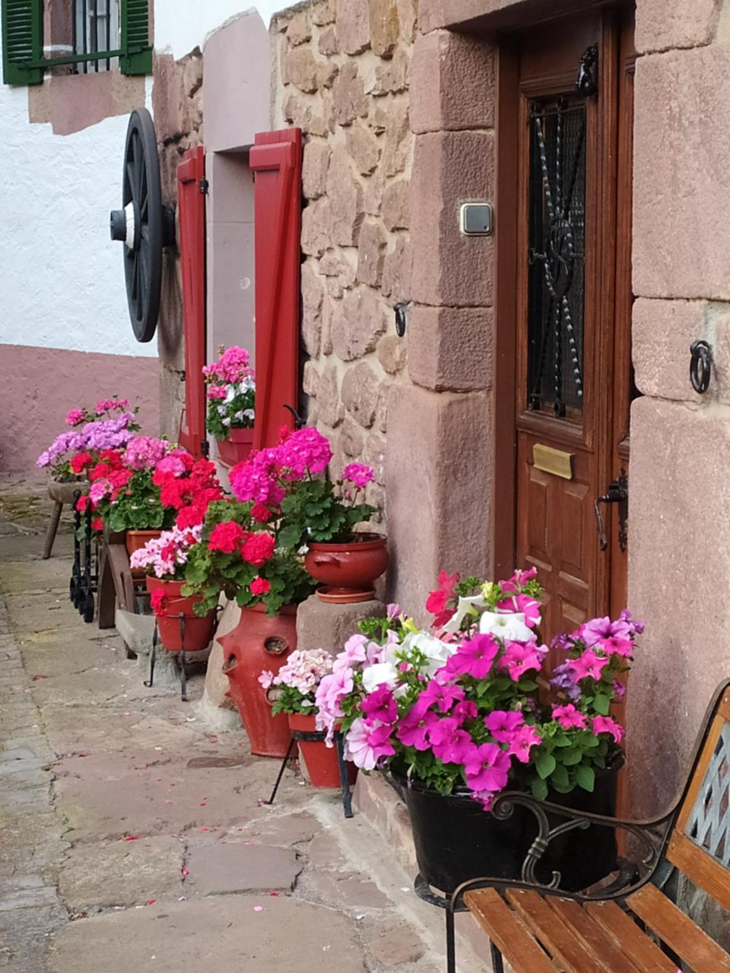 Apartment Iturrizar Rural