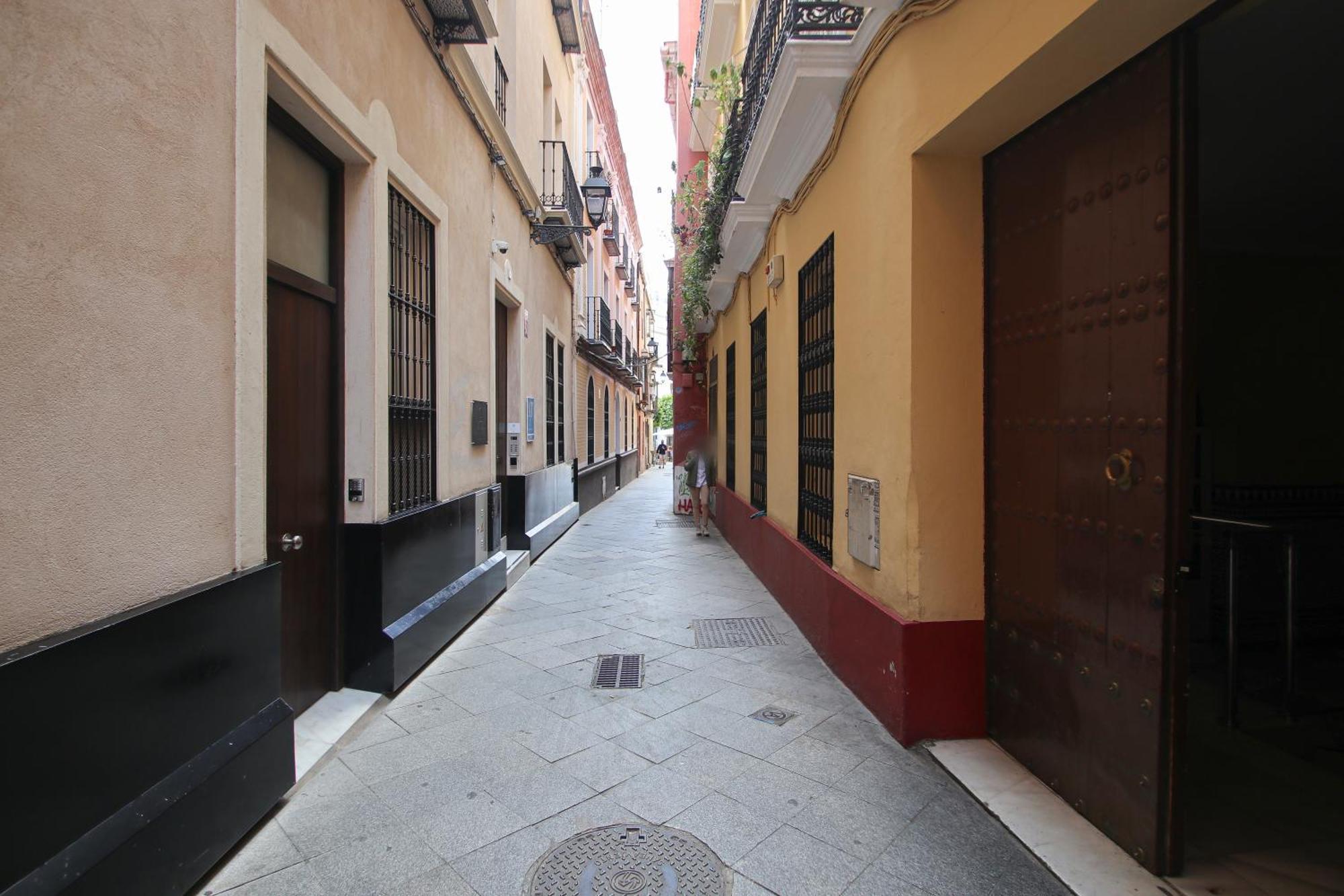 New! Luxurious & Chic Duplex Next To The Cathedral Apartment