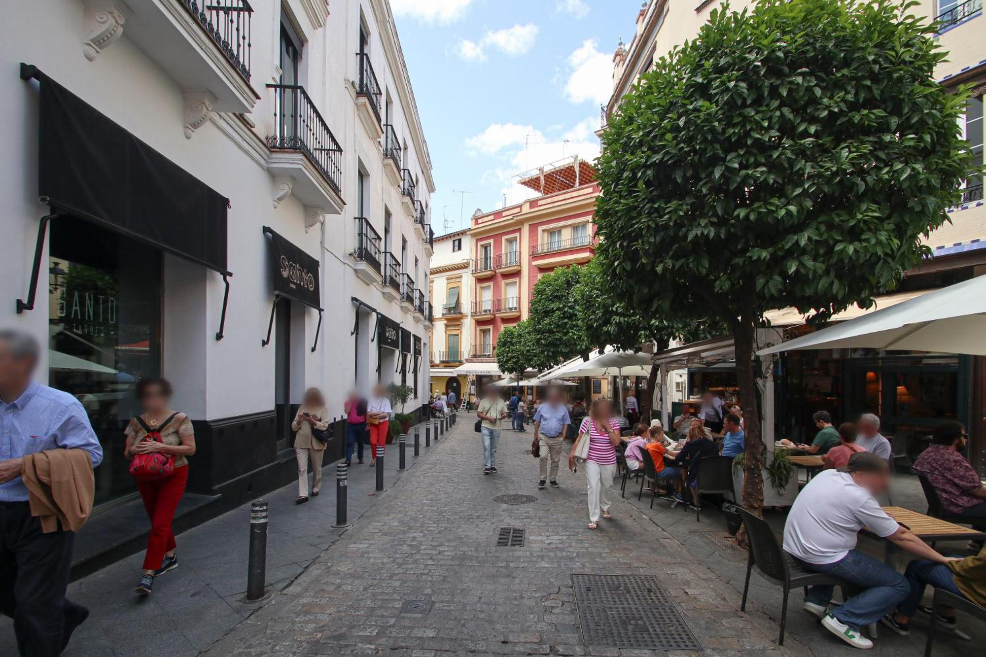 Apartment New! Luxurious & Chic Duplex Next To The Cathedral Seville