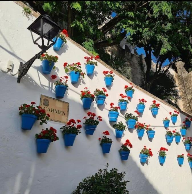 Apartamento Flores 3, Marbella
