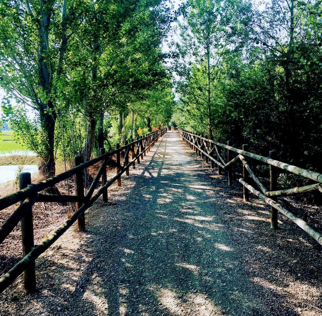 La Pau Del Delta *