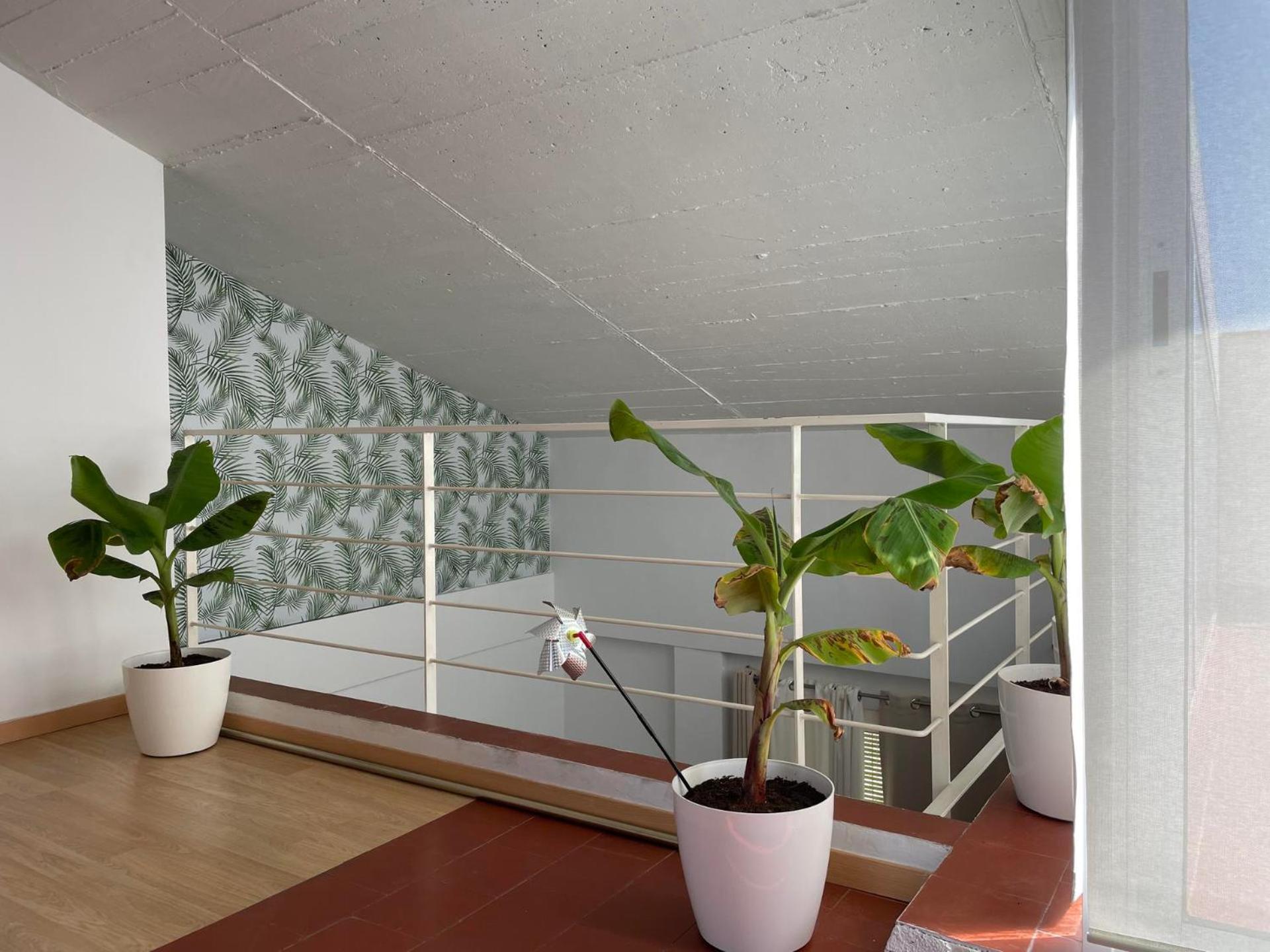 Port Marina Apartment Palamos