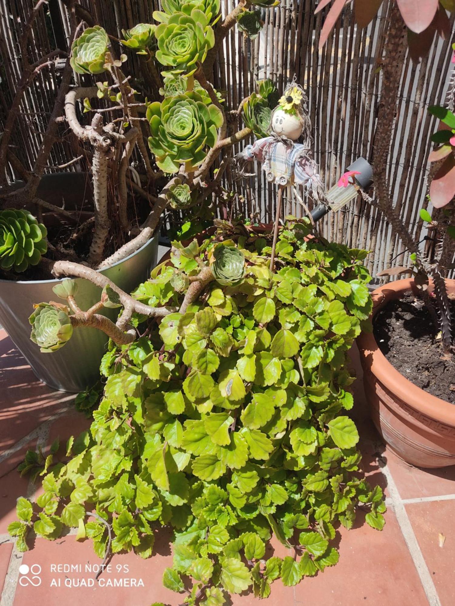 Turístico Florhouse