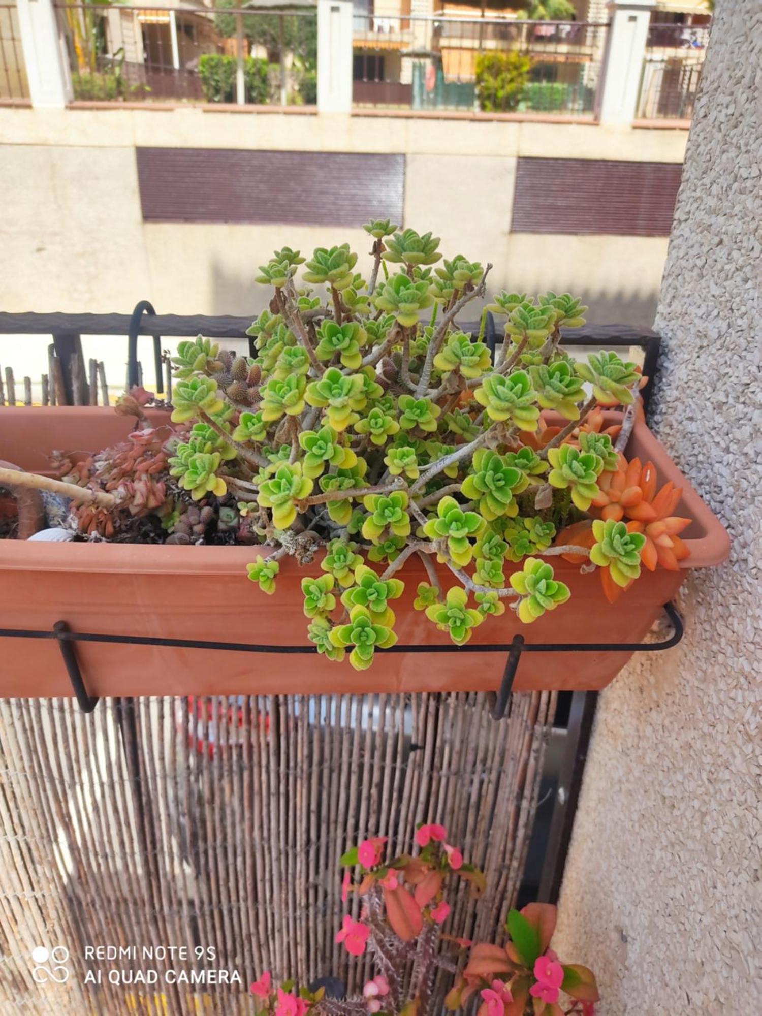 Turístico Florhouse Apartamento