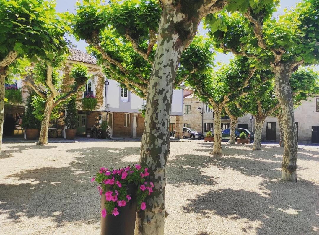 Сasa de vacaciones Casa O Castriño Cambados