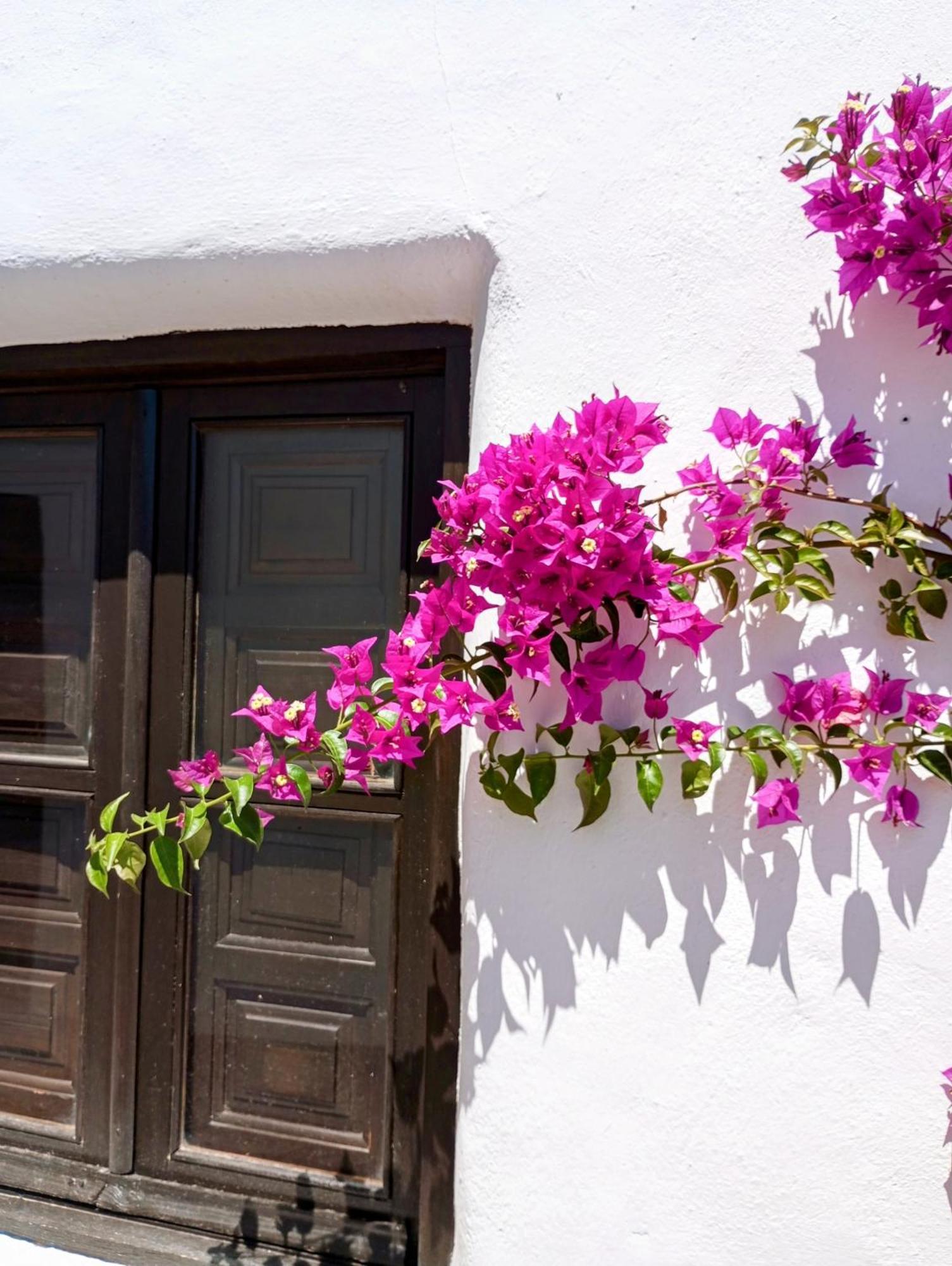 Holiday home Casa Miguel Montefrio