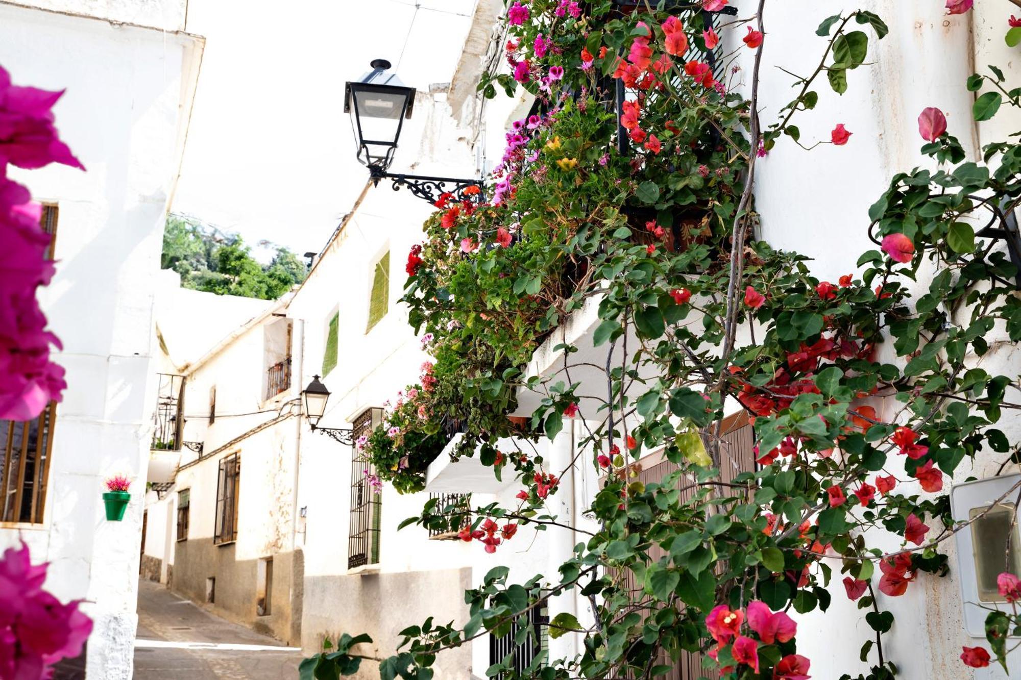 Apartment Alpujarra Relax Carataunas