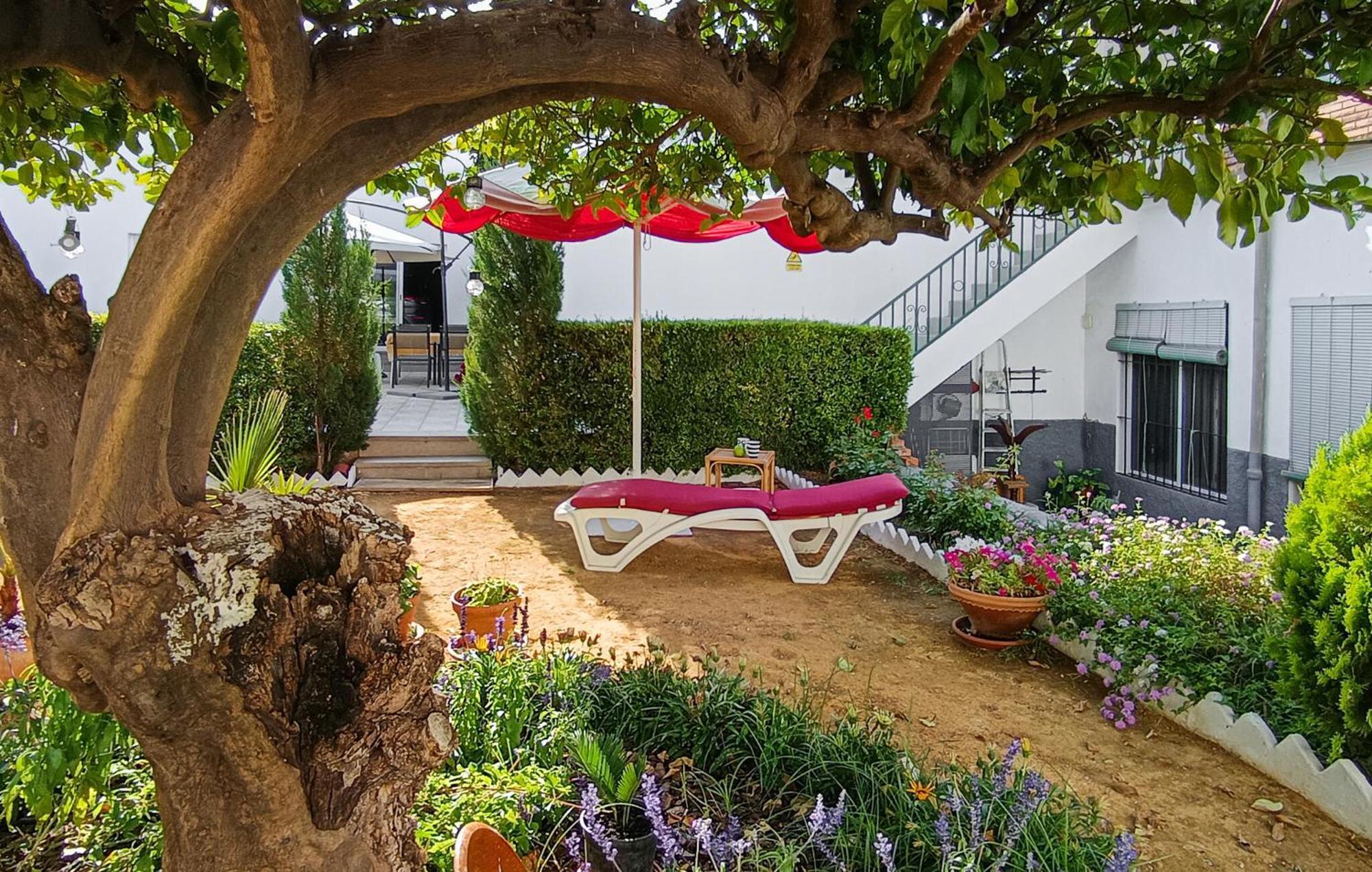 La Casa Del Limonero Apartamento Peñaflor