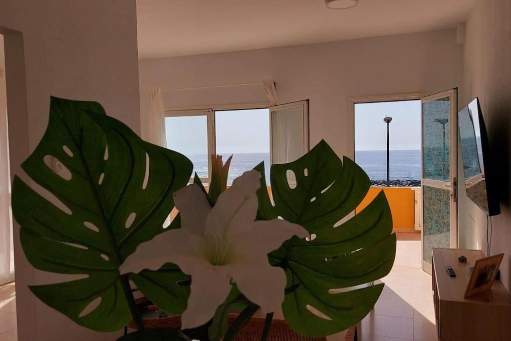 Apartamento La Marea Baja Puertito de Guimar