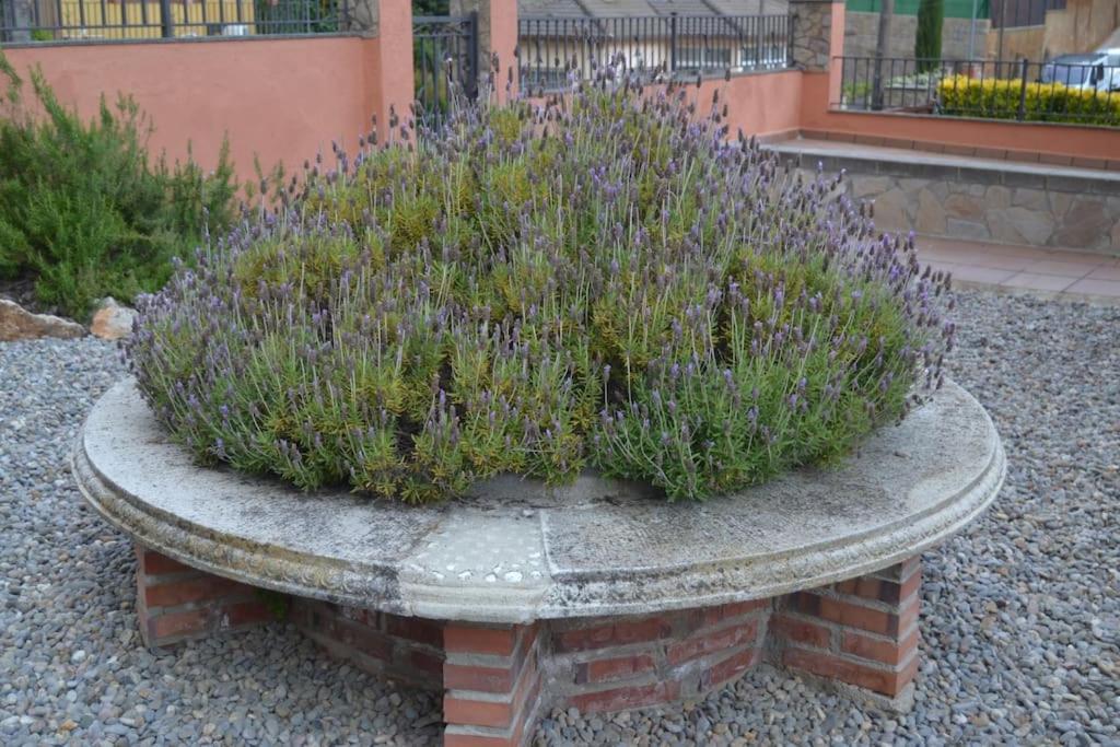 La Casona Dels Avis * Fogás de Tordera