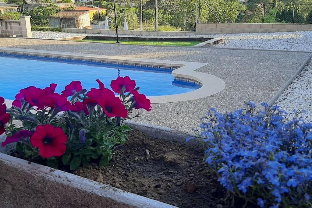 La Casona Dels Avis Villa