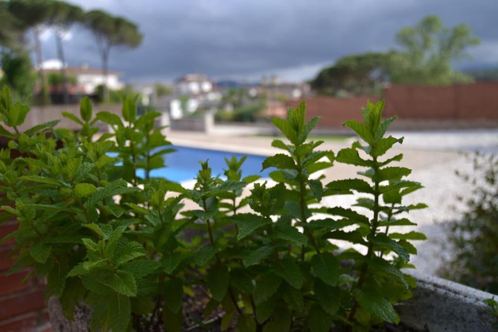 La Casona Dels Avis Villa *