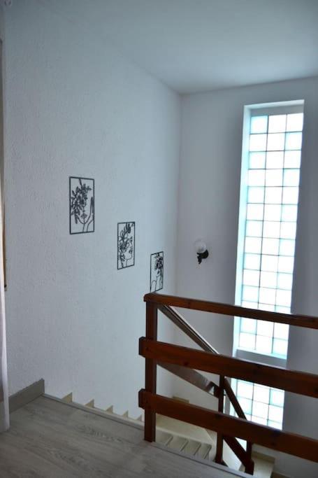 La Casona Dels Avis Villa *