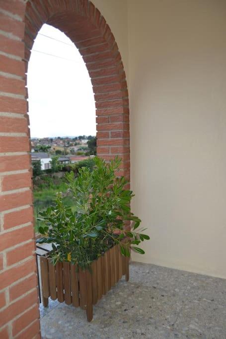 La Casona Dels Avis Villa