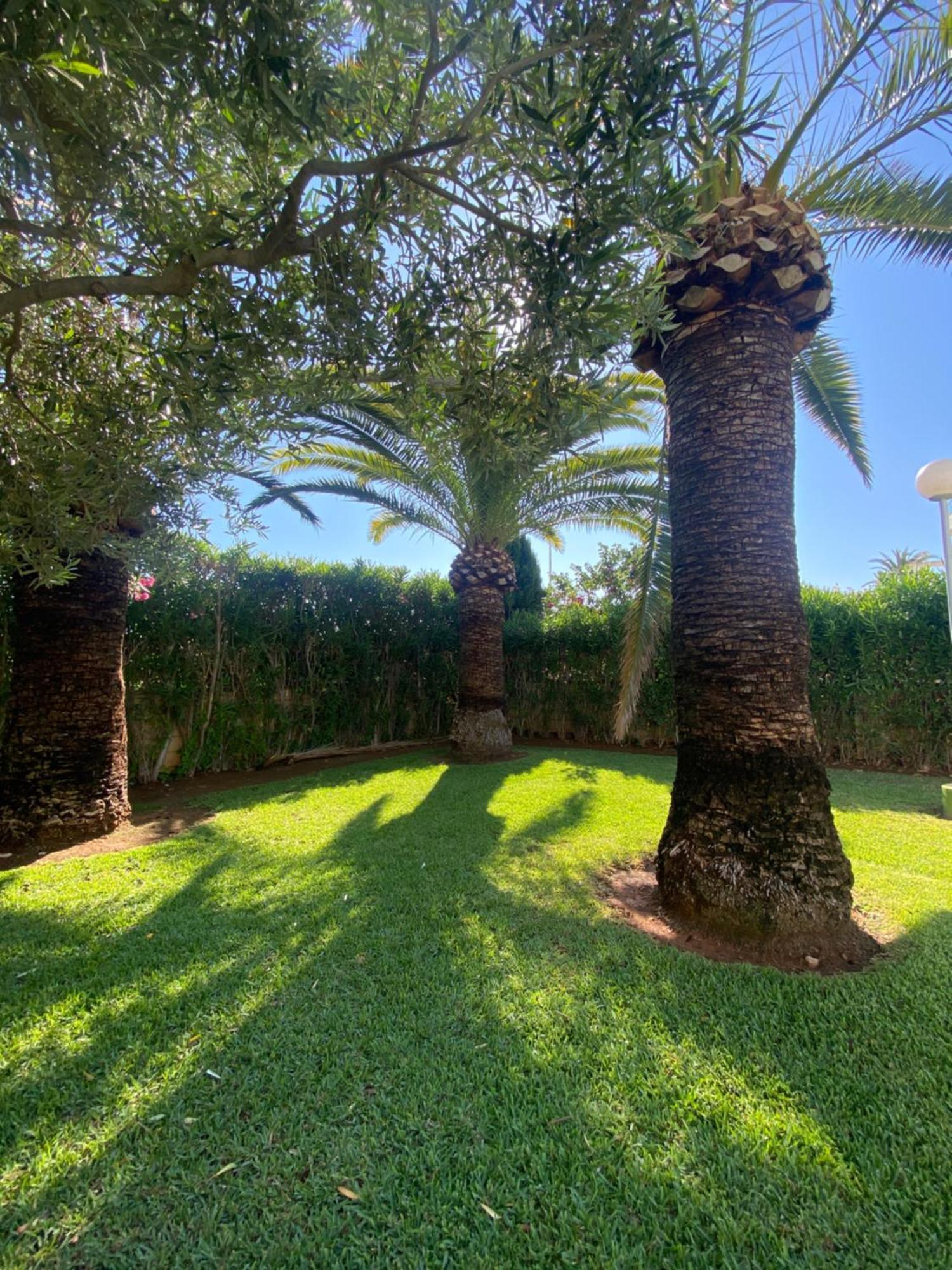 Apartamento Sea Views *