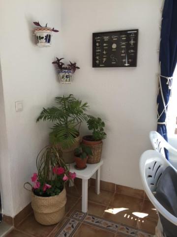 Apartment Euromar Playa Peniscola