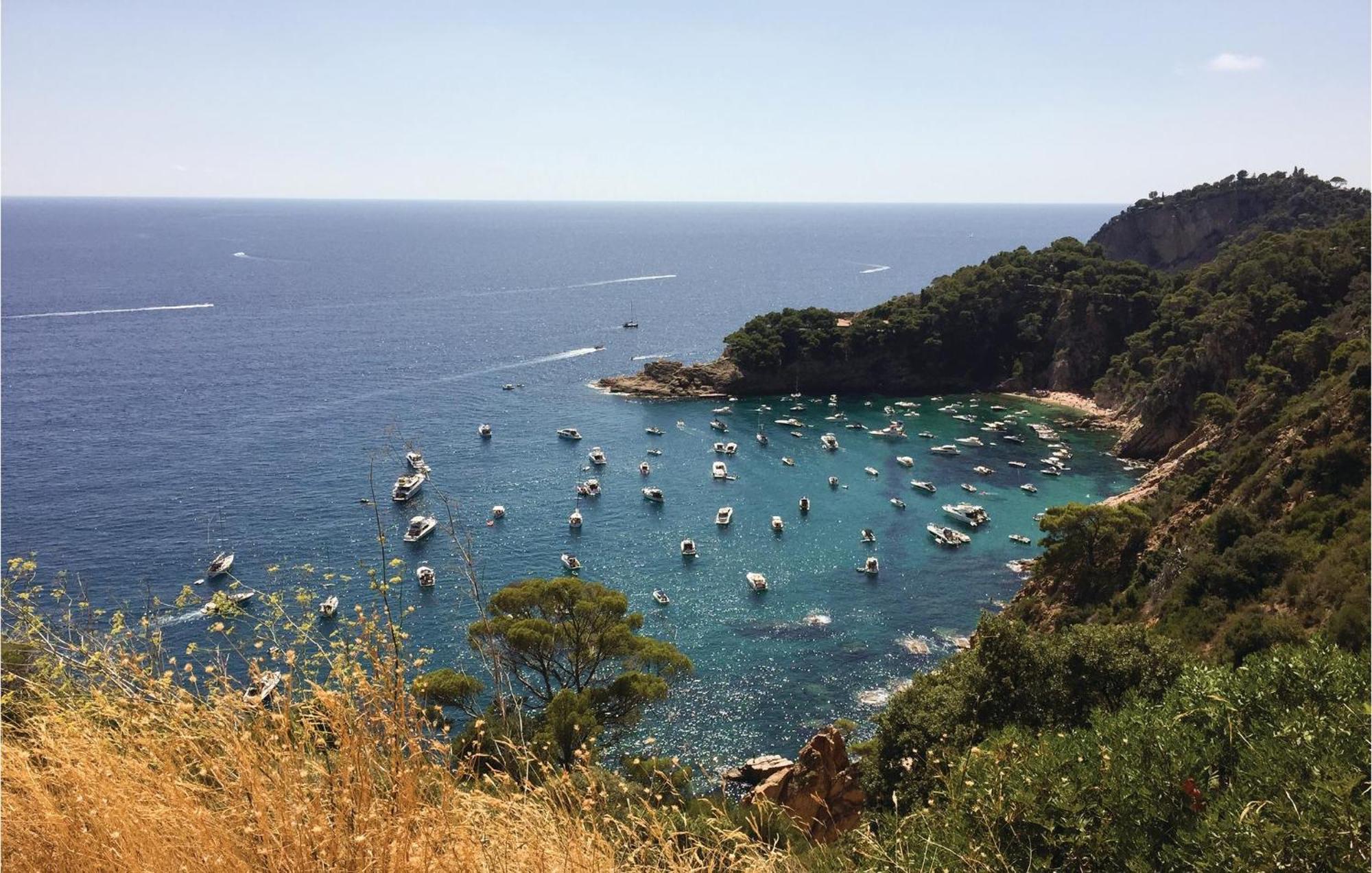 Apartamento 1 Bedroom Beautiful In